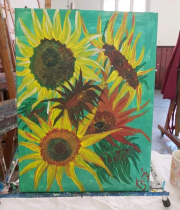Sunflowers are blooming on a green background in a studio.