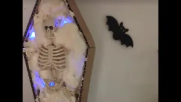 Skeleton in coffin with bat on wall.