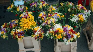 Colorful flower bouquets displayed in white crates.