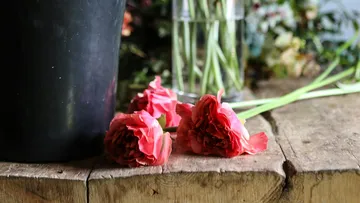 Pink flowers on wooden table next to black pot.