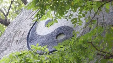 Yin-yang symbol on a stone surrounded by leaves.