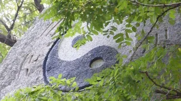 Stein mit Yin-Yang-Symbol, umgeben von grünen Blättern.