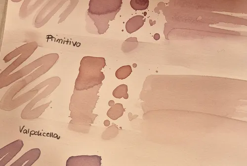 Maltöne auf Papier, betitelt mit "Primitivo" und "Valpolicella".