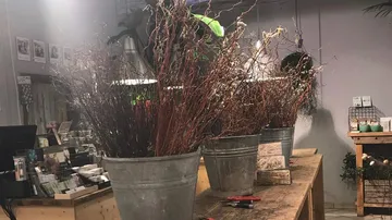 Drei Pflanztöpfe mit Ästen auf einem Holztisch.