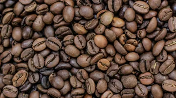 Coffee beans lie together, ready to be prepared.