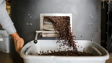 Coffee beans fall out of the machine and into the tub. roast.