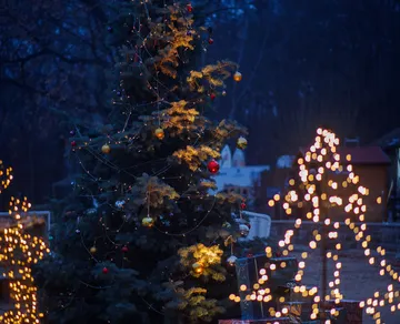 Geschmückter Weihnachtsbaum mit Lichtern in der Nacht.