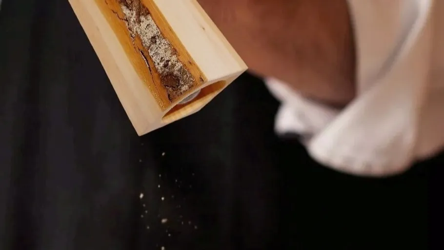 Hand holding bamboo tube with spices falling out.