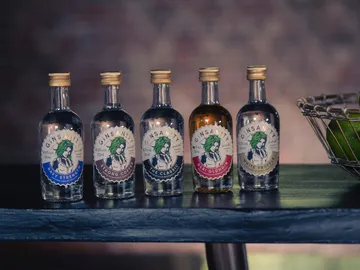 Fünf Flaschen Gin stehen auf einem Tisch hinter Limetten.