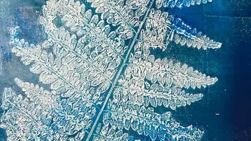 Frostbedecktes Farnblatt auf blauem Hintergrund.