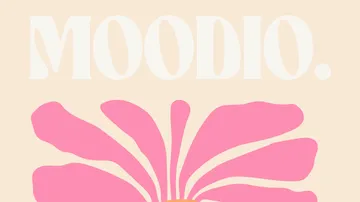 Pink flower illustration with text 'MOODIO.'