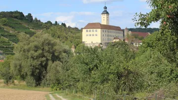 Castle surrounded by lush green landscape.