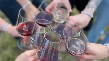 Toasten der Hände mit Gläsern Rotwein im Freien.