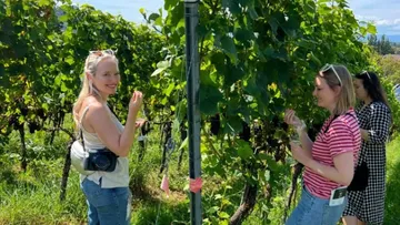 People standing in vineyard holding grapes.