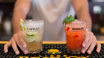 Barkeeper präsentiert zwei farbenfrohe Cocktails an der Bar.