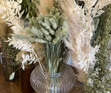 Various dried flowers in glass vases, rustic setting.