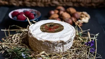 Runder Käse auf Heu mit Himbeeren und Walnüssen.