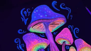 Colorful neon mushrooms on black background.