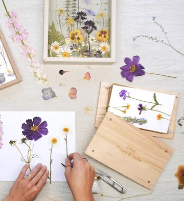 Hände arrangieren getrocknete Blumen auf Papier, Rahmen in der Nähe.