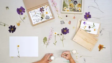 Hands arranging dried flowers on paper.