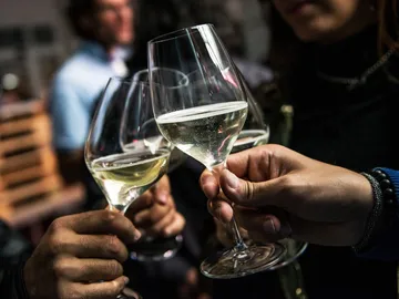 Glasses are raised for toast in a friendly atmosphere.