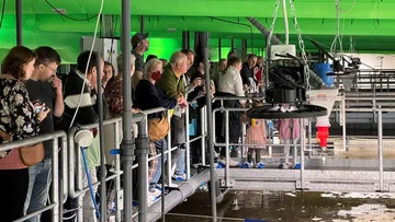 People observing fish tanks inside aquaculture facility.