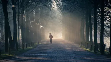 Person, die auf einem nebligen, von Bäumen gesäumten Pfad joggt.