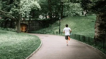 Person jogging on a tree-lined park path.