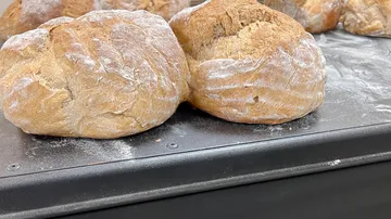 Freshly baked bread loaves on tray.