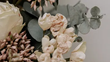 Trockenblumen mit Eukalyptusblättern.