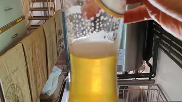 Hand holding glass of beer in brewery.