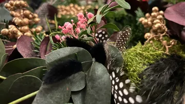 Festive greenery with pink flowers.