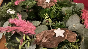 Decorative foliage with pink feathers and star shapes.