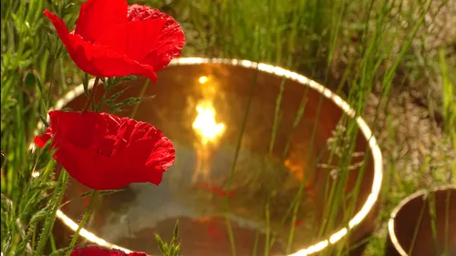 Klangmeditation – goldene Klangschale mit roten Mohnblumen