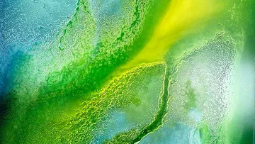 Abstrakte grüne und gelbe fließende Kunst