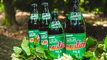 Four green beer bottles with foliage in a forest.