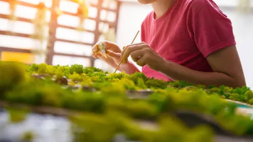 Person crafting with green moss art piece.