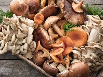 Various mushrooms lie in a basket on wood.