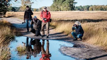 Four photographers capturing images near a puddle.