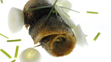 Gerollter Hering, umgeben von Zwiebeln und Schnittlauch.