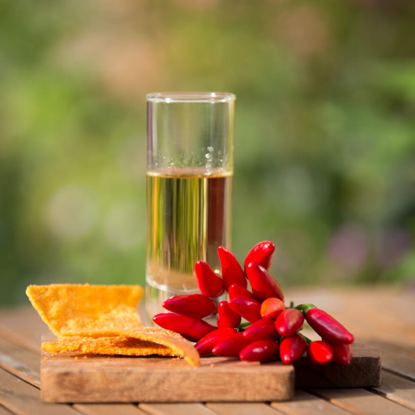 Tequila-Verkostung in Lübeck