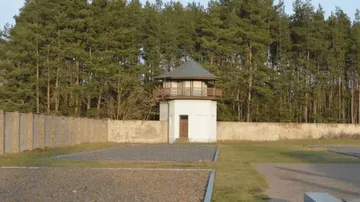 Watchtower with forest backdrop.