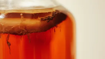 Nahaufnahme von Kombucha mit SCOBY-Schicht.