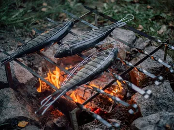 Fische garen über ein Lagerfeuer in der Natur.