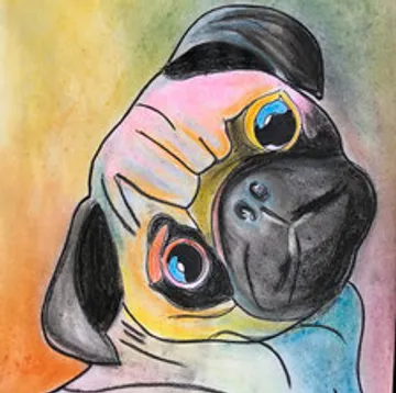 Bunte Zeichnung eines Mops mit geneigtem Kopf.