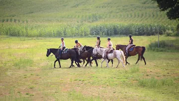 Group horseback riding on a grassy field.