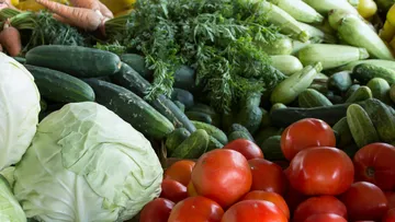 Fresh vegetables including tomatoes, cabbage, zucchini.