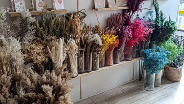 Verschiedene Trockenblumen in Glasvasen sind ausgestellt.
