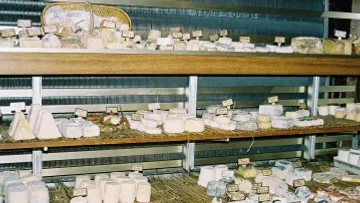 Verschiedene Käsesorten, ausgestellt auf Holzregalen.