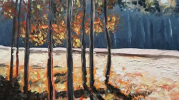 Autumn trees with colorful foliage, shadowed ground.